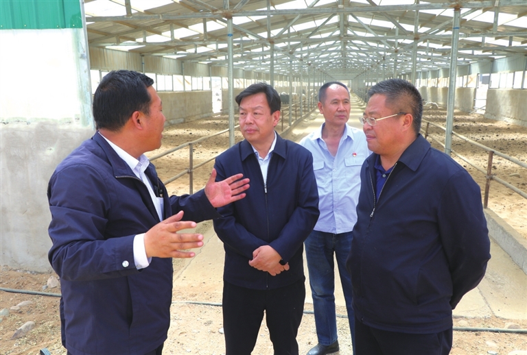 積極引導(dǎo)產(chǎn)業(yè)創(chuàng)新 實(shí)現(xiàn)“造血式”脫貧